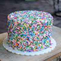 DSC_6364 Sprinkle Cake
